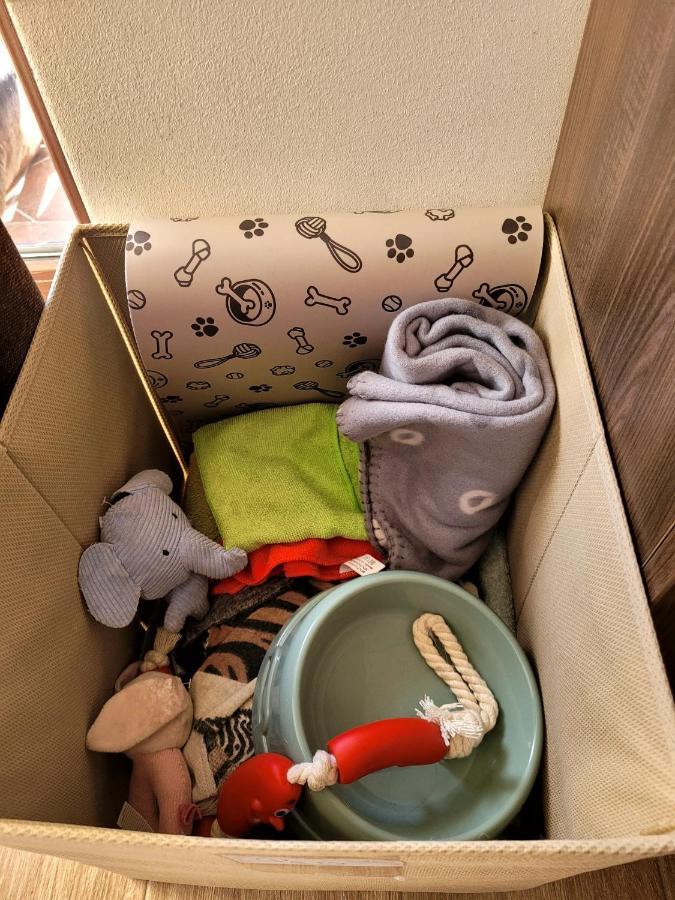 בראשוב Dds Apartment מראה חיצוני תמונה
